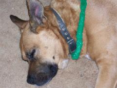 Monday December 25, 2006 14:41 - 102_0202.jpg