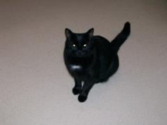 Monday December 25, 2006 19:36 - 102_0209.jpg