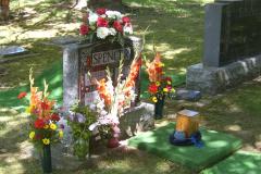 Tuesday August 08, 2006 08:56 - SUC40052.jpg