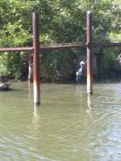 Tuesday August 15, 2006 13:41 - SUC40083.jpg