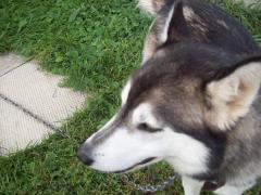 Monday January 01, 2007 12:10 - 100_0090.jpg