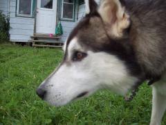 Monday January 01, 2007 12:10 - 100_0091.jpg