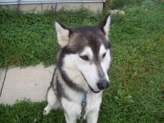 Monday January 01, 2007 12:10 - 100_0092.jpg