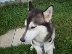 Monday January 01, 2007 12:10 - 100_0093.jpg