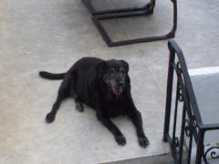 Tuesday January 02, 2007 13:09 - 100_0102.jpg