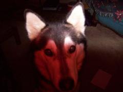 Tuesday January 02, 2007 15:27 - 100_0105.jpg