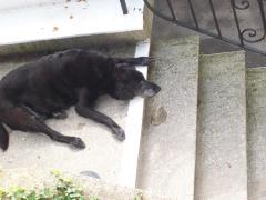 Sunday January 07, 2007 07:12 - 100_0121.jpg