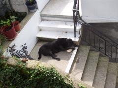 Sunday January 07, 2007 07:15 - 100_0122.jpg