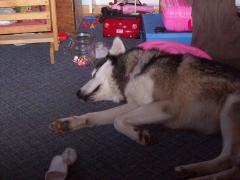 Monday January 15, 2007 13:01 - 100_0150.jpg