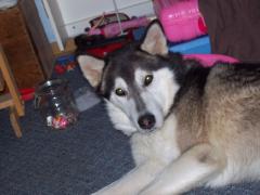 Monday January 15, 2007 13:06 - 100_0151.jpg