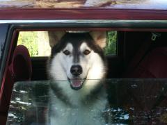 Saturday September 29, 2007 04:52 - 102_1910.jpg