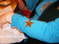 Thursday November 01, 2007 07:15 - 102_2297.jpg