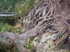 Sunday October 14, 2007 13:28 - SUC40002-2.jpg