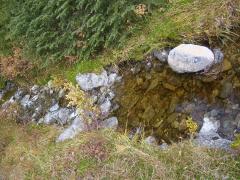 Sunday October 14, 2007 13:57 - SUC40004-2.jpg