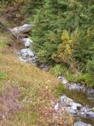 Sunday October 14, 2007 13:57 - SUC40005-2.jpg