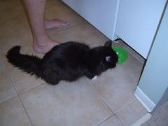 Sunday July 01, 2007 13:44 - SUC40009.jpg