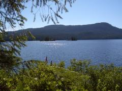 Wednesday July 11, 2007 16:46 - SUC40010-2.jpg