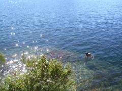 Wednesday July 11, 2007 16:47 - SUC40012-2.jpg