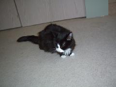 Sunday July 01, 2007 13:49 - SUC40014-1.jpg