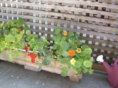 Sunday July 01, 2007 13:54 - SUC40016-1.jpg