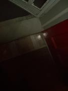 Wednesday October 31, 2007 17:24 - SUC40023-3.jpg