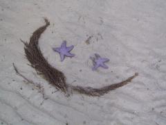 Friday July 13, 2007 11:47 - SUC40034-1.jpg