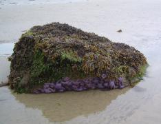 Friday July 13, 2007 11:49 - SUC40036-1.jpg