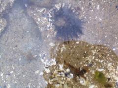 Friday July 13, 2007 12:27 - SUC40042-1.jpg