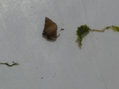 Friday July 13, 2007 12:47 - SUC40044-1.jpg