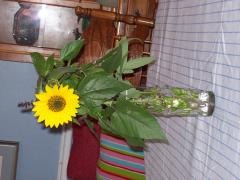 Saturday September 06, 2008 05:13 - 100_0010.jpg