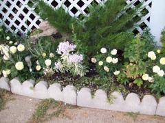 Saturday September 06, 2008 07:07 - 100_0027.jpg