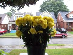 Sunday September 07, 2008 12:26 - 100_0060.jpg