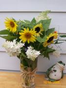 Sunday August 10, 2008 10:26 - 100_1528.jpg