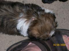 Thursday August 14, 2008 20:33 - 100_1608.jpg