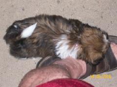 Thursday August 14, 2008 20:33 - 100_1610.jpg