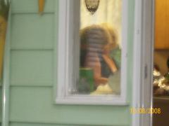 Friday August 15, 2008 17:12 - 100_1622.jpg