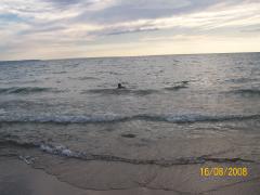 Saturday August 16, 2008 18:46 - 100_1630.jpg