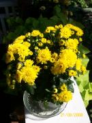 Thursday August 21, 2008 10:19 - 100_1681.jpg