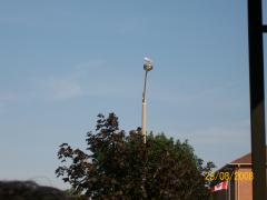 Saturday August 23, 2008 18:09 - 100_1686.jpg