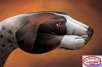 Monday August 04, 2008 13:42 - 8gUspip.jpg