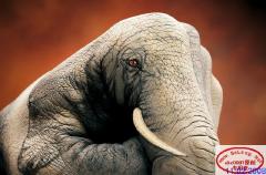 Monday August 04, 2008 13:43 - GF3B5k6.jpg