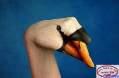 Monday August 04, 2008 13:43 - bRoYOBy.jpg