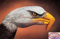 Monday August 04, 2008 13:43 - m5DX4TC.jpg