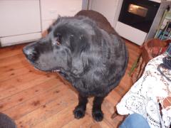 Saturday November 06, 2010 12:59 - P1010361.JPG