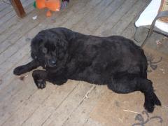 Saturday November 06, 2010 13:48 - P1010382.JPG