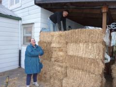 Saturday November 06, 2010 14:32 - P1010384.JPG