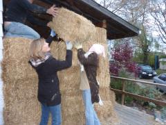 Saturday November 06, 2010 14:33 - P1010386.JPG