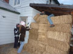 Saturday November 06, 2010 14:34 - P1010388.JPG