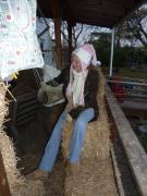 Saturday November 06, 2010 14:36 - P1010392.JPG