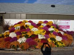 Sunday November 07, 2010 12:06 - P1010424.JPG